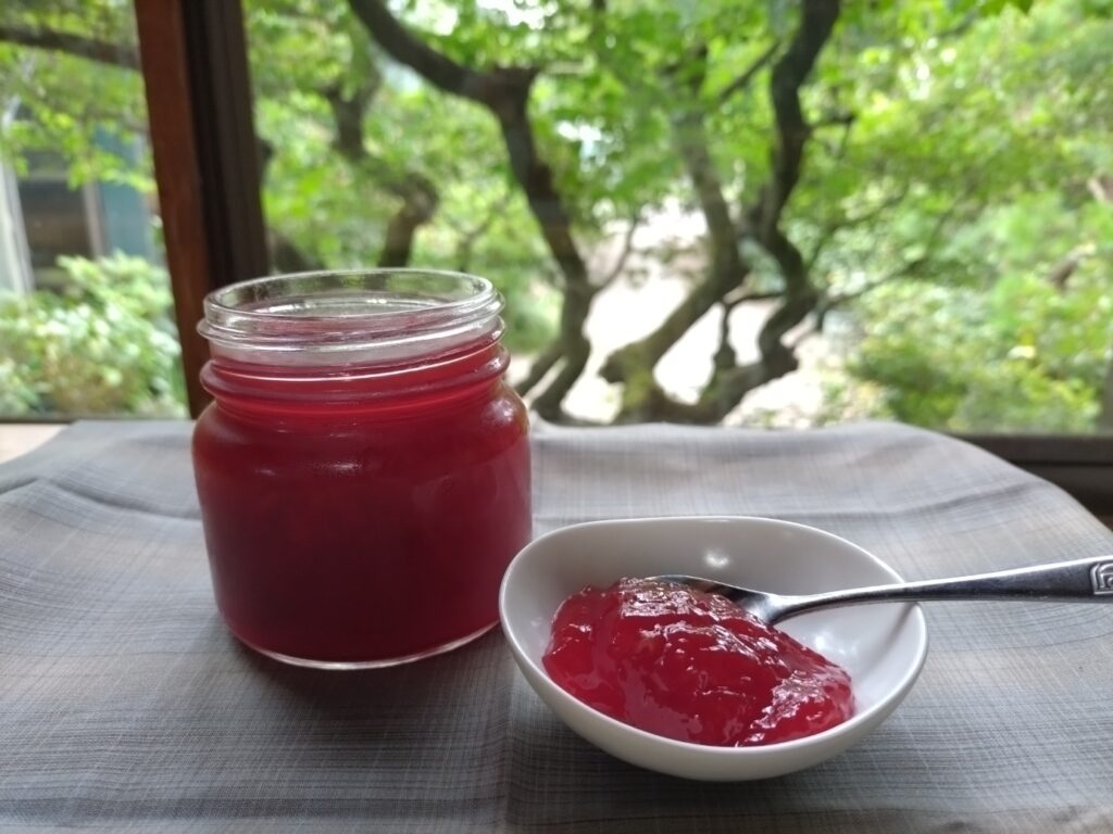 露茜の紅色の梅ジャム、ガラスの向こうは新緑のジシャの木。